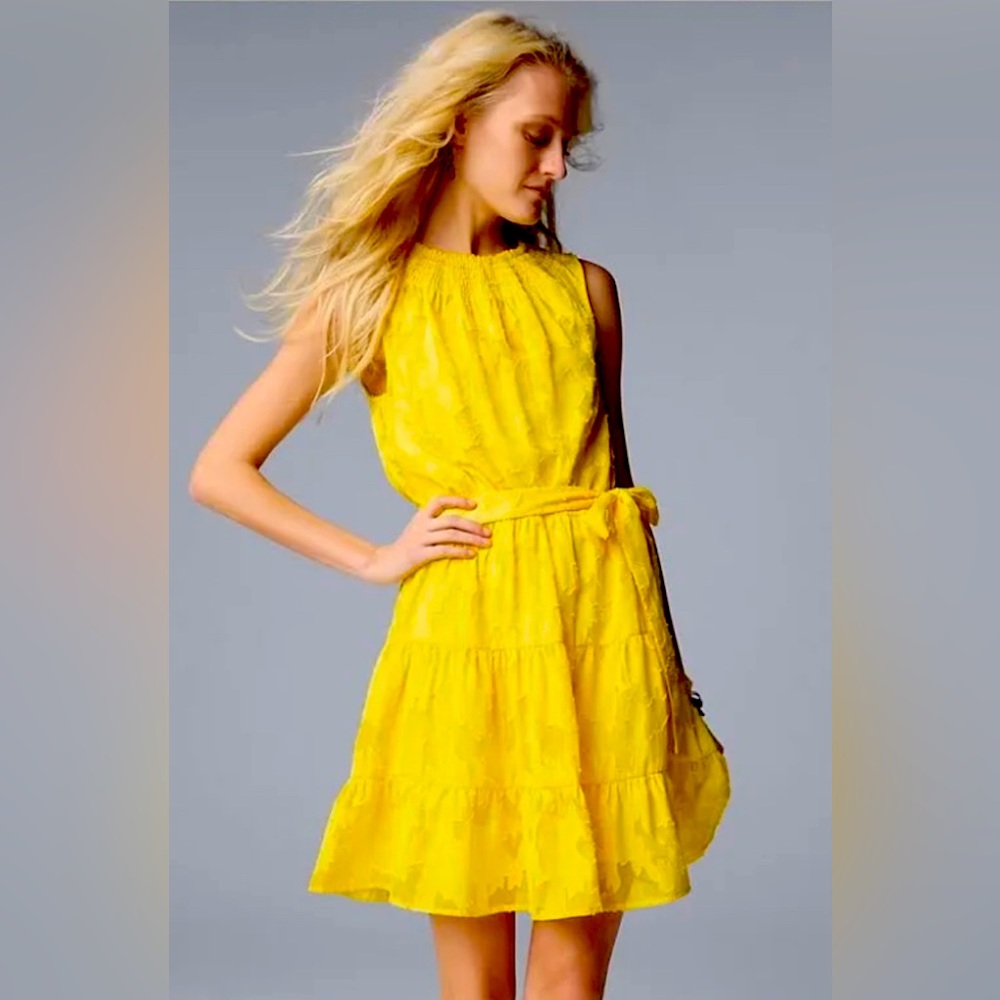 Simply Vera Flocked Dress